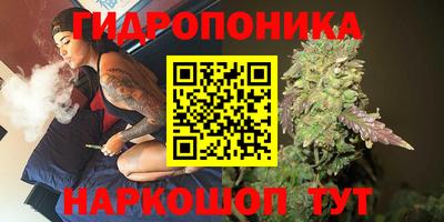 дмт Ставрополь