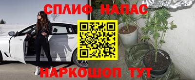 тгк Старая Купавна