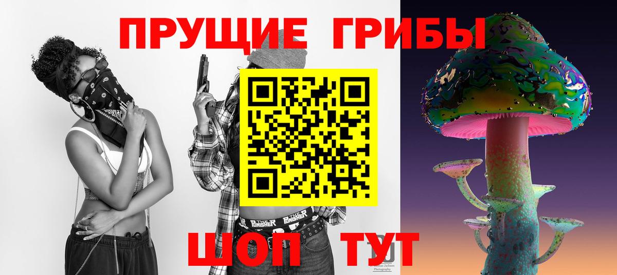 Рубцовск  Псилоцибиновые грибы Cubensis  купить закладку  Псилоцибиновые грибы MAGIC MUSHROOMS  Вход с VPN 