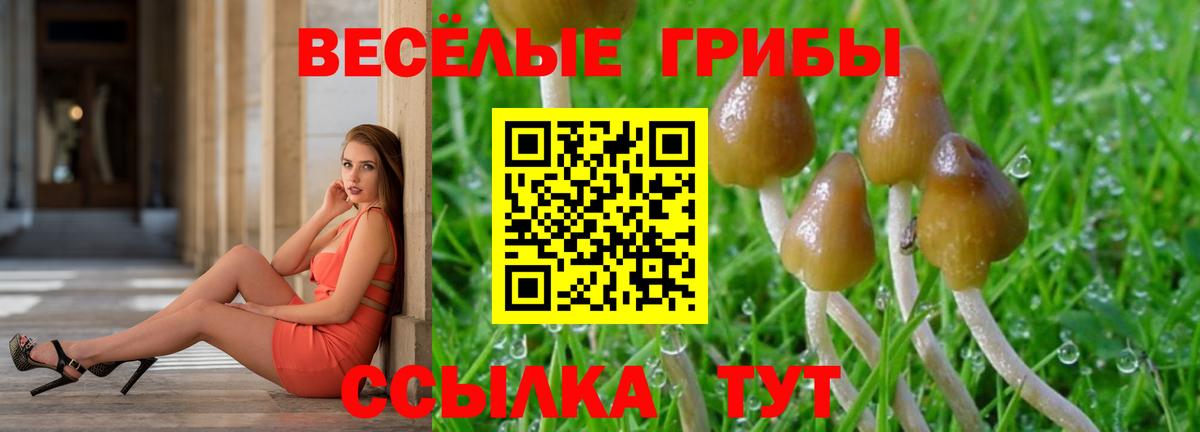 Псилоцибиновые грибы прущие грибы Рубцовск